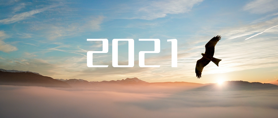 乘“峰”而上，智“盈”未来 ——2021年尊龙凯时环境高级资深副总裁新年开工动员